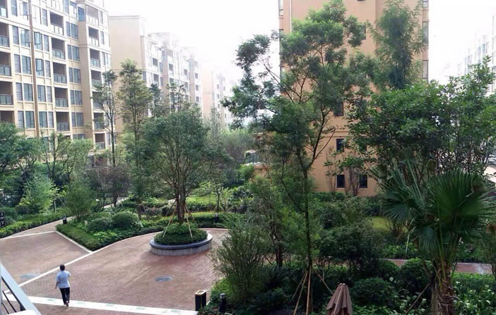 Z6·尊龙「中国区」官方网站