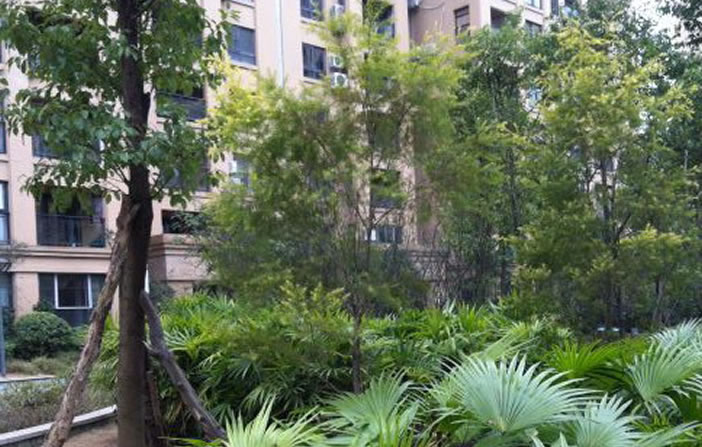 Z6·尊龙「中国区」官方网站