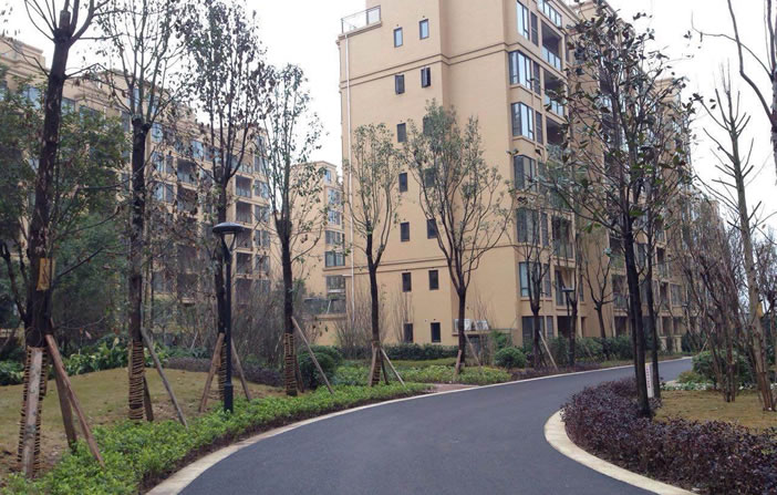 Z6·尊龙「中国区」官方网站